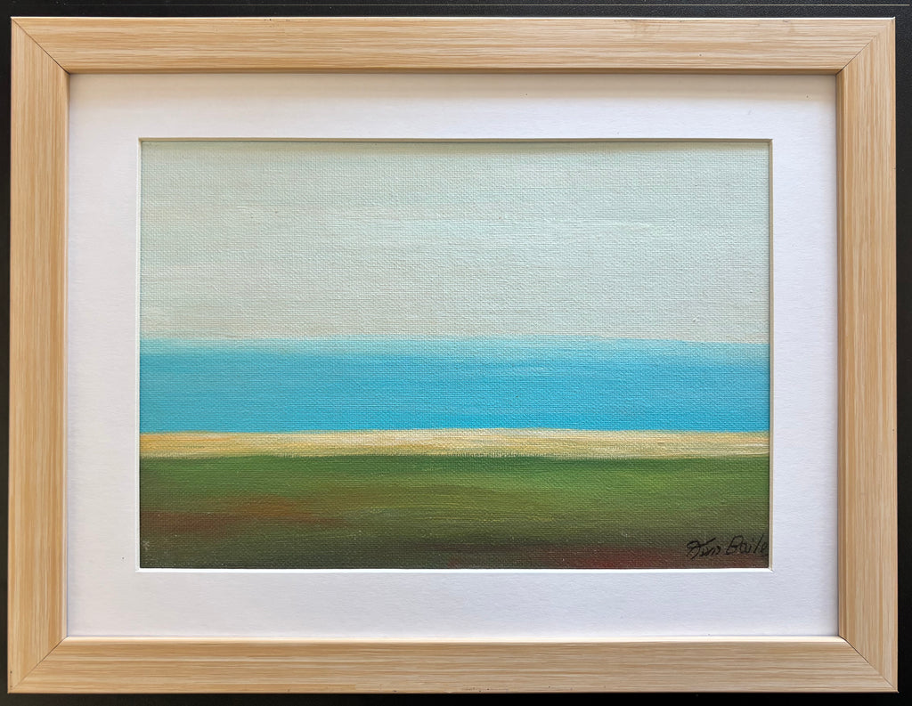 The Seashore